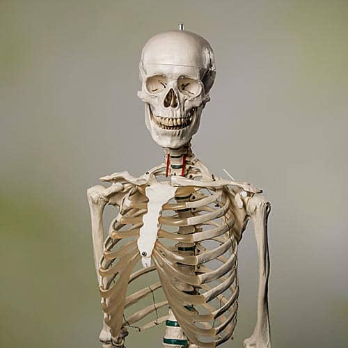 Herbert, Mitarbeiter des Monats